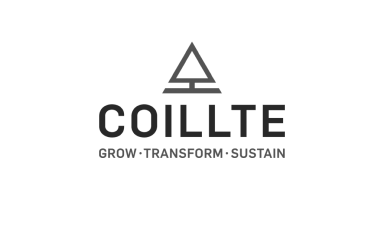 Logo Coillte